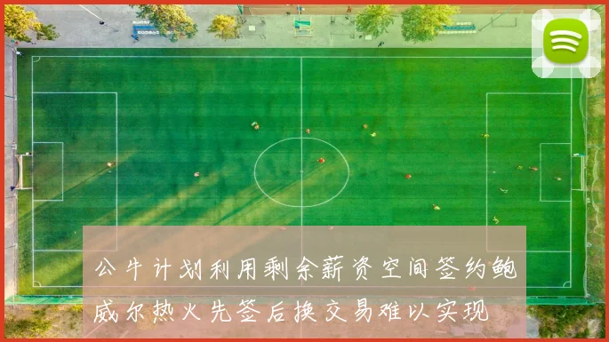 公牛计划利用剩余薪资空间签约鲍威尔热火先签后换交易难以实现