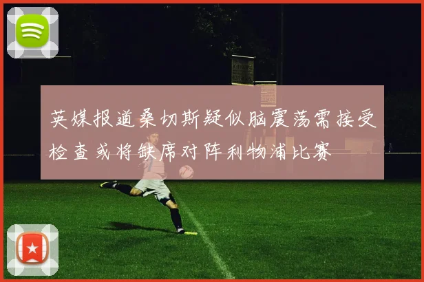 英媒报道桑切斯疑似脑震荡需接受检查或将缺席对阵利物浦比赛